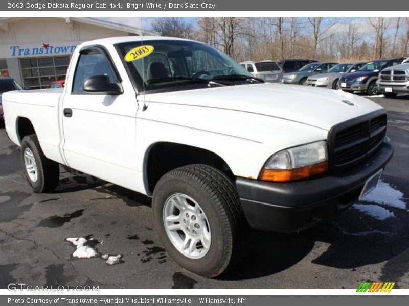 Bright White / Dark Slate Gray 2003 Dodge Dakota Regular Cab 4x4