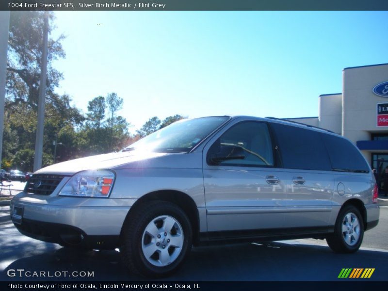Silver Birch Metallic / Flint Grey 2004 Ford Freestar SES