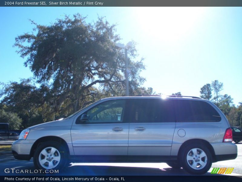Silver Birch Metallic / Flint Grey 2004 Ford Freestar SES