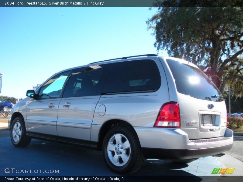 Silver Birch Metallic / Flint Grey 2004 Ford Freestar SES