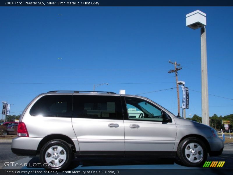 Silver Birch Metallic / Flint Grey 2004 Ford Freestar SES