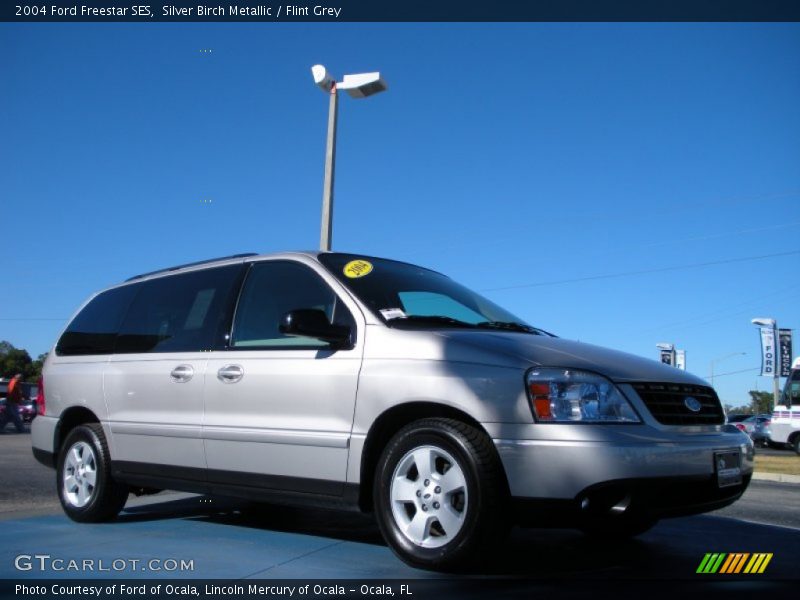 Silver Birch Metallic / Flint Grey 2004 Ford Freestar SES