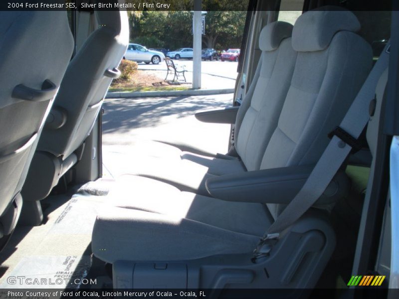 Silver Birch Metallic / Flint Grey 2004 Ford Freestar SES