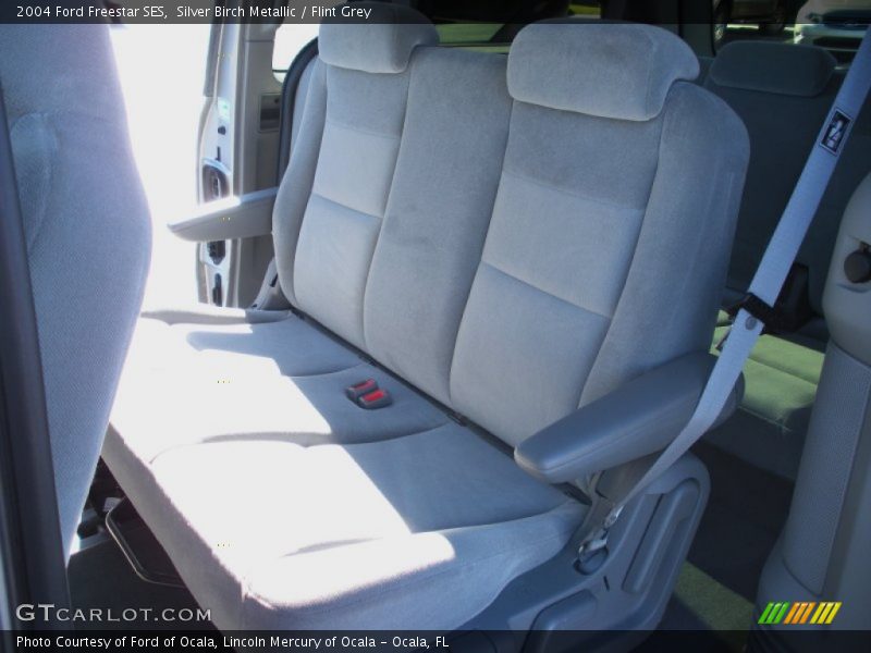 Silver Birch Metallic / Flint Grey 2004 Ford Freestar SES