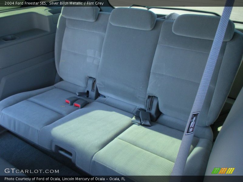 Silver Birch Metallic / Flint Grey 2004 Ford Freestar SES