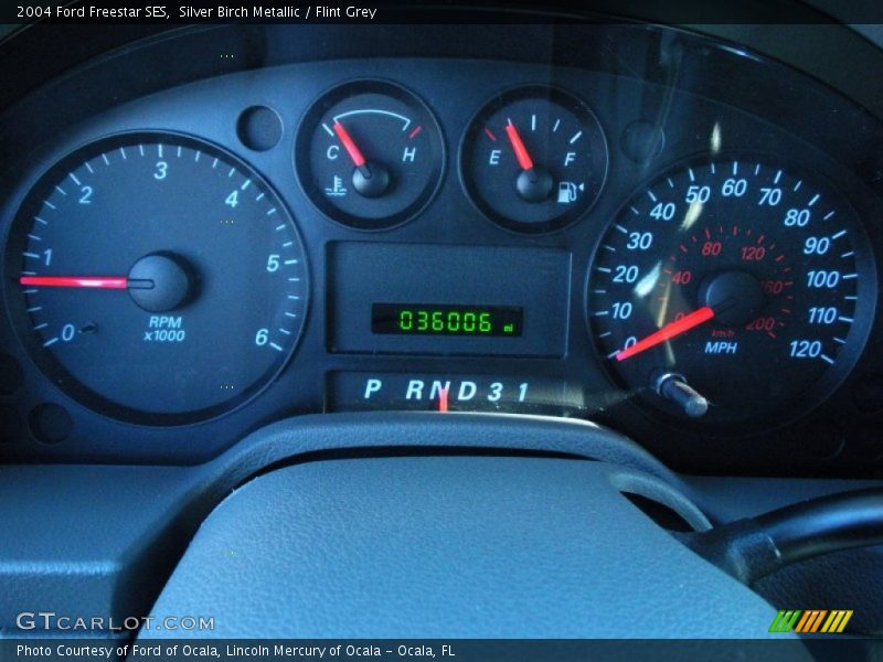 Silver Birch Metallic / Flint Grey 2004 Ford Freestar SES