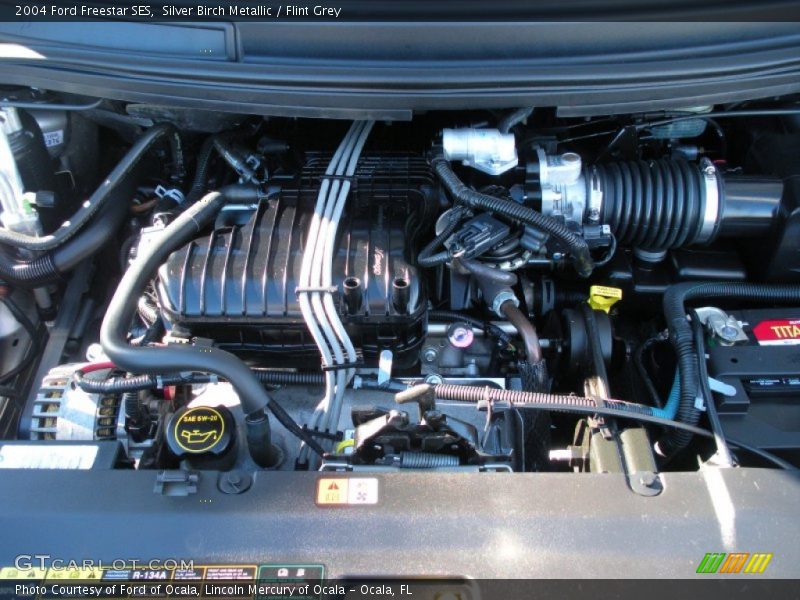 Silver Birch Metallic / Flint Grey 2004 Ford Freestar SES