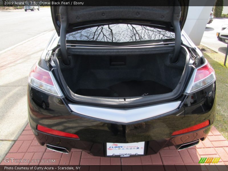 Crystal Black Pearl / Ebony 2009 Acura TL 3.5