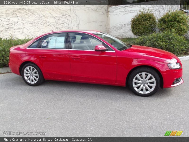 Brilliant Red / Black 2010 Audi A4 2.0T quattro Sedan