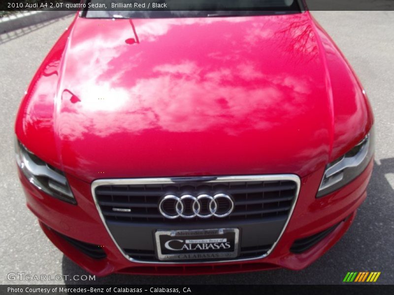 Brilliant Red / Black 2010 Audi A4 2.0T quattro Sedan