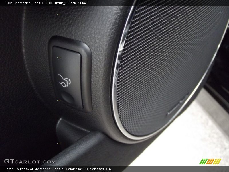 Black / Black 2009 Mercedes-Benz C 300 Luxury