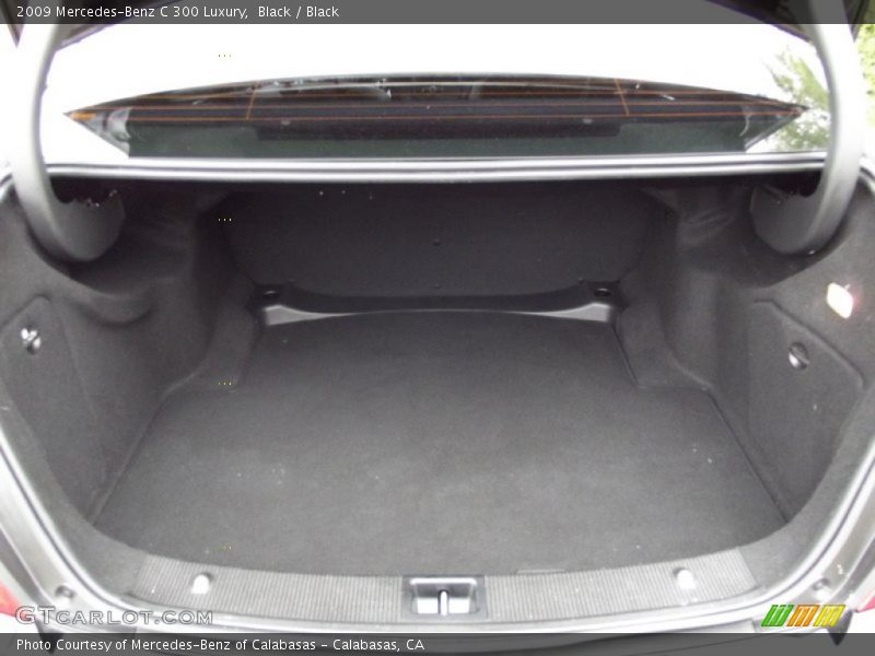 Black / Black 2009 Mercedes-Benz C 300 Luxury