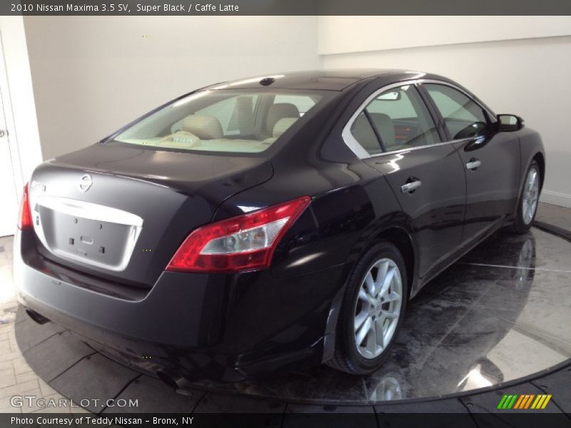 Super Black / Caffe Latte 2010 Nissan Maxima 3.5 SV