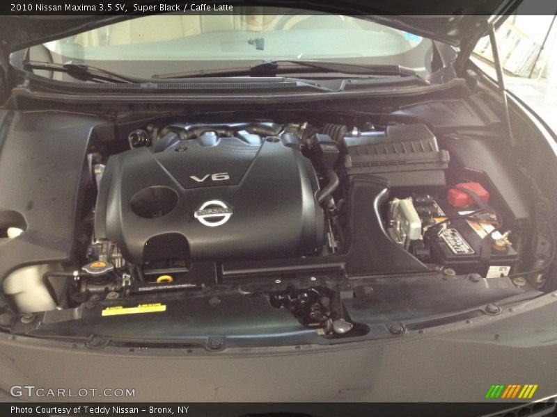 Super Black / Caffe Latte 2010 Nissan Maxima 3.5 SV