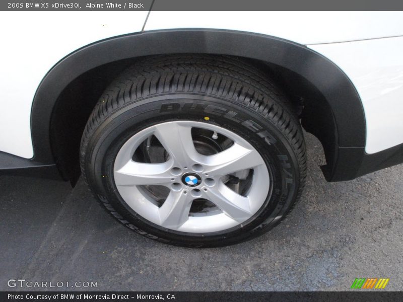 Alpine White / Black 2009 BMW X5 xDrive30i