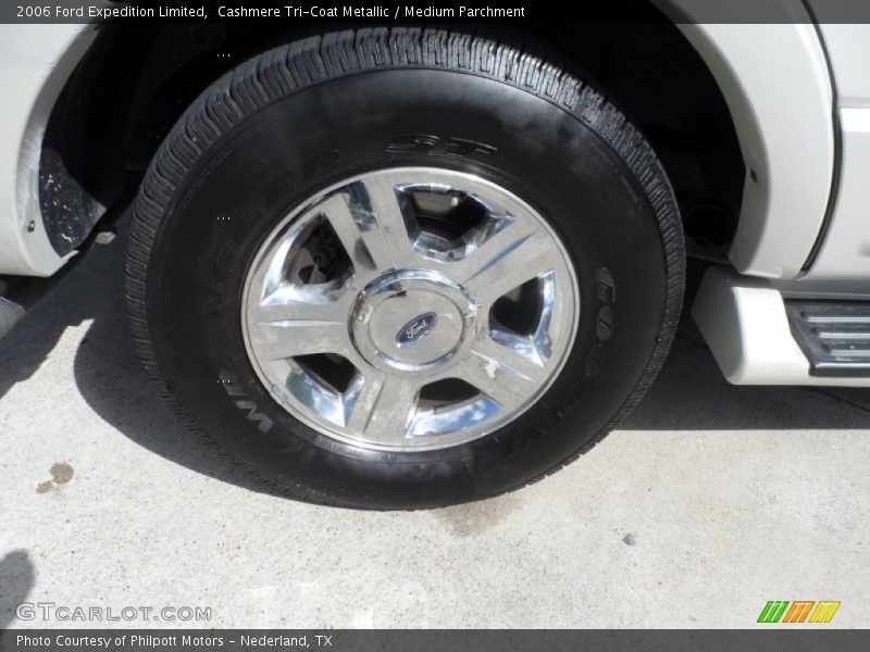 Cashmere Tri-Coat Metallic / Medium Parchment 2006 Ford Expedition Limited