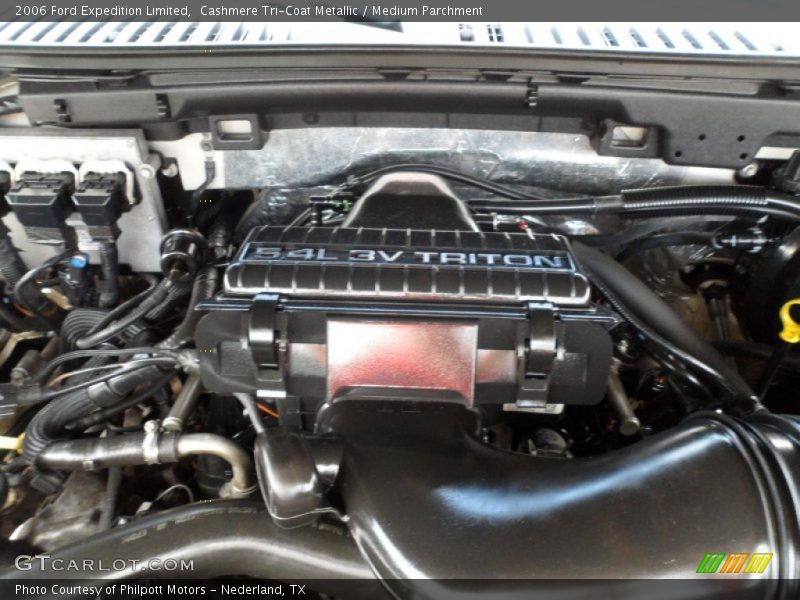 Cashmere Tri-Coat Metallic / Medium Parchment 2006 Ford Expedition Limited