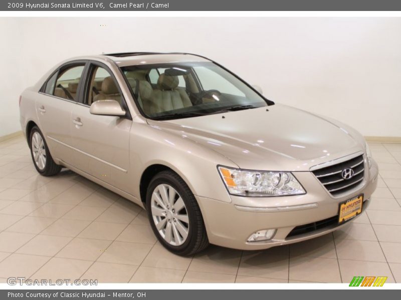 Camel Pearl / Camel 2009 Hyundai Sonata Limited V6