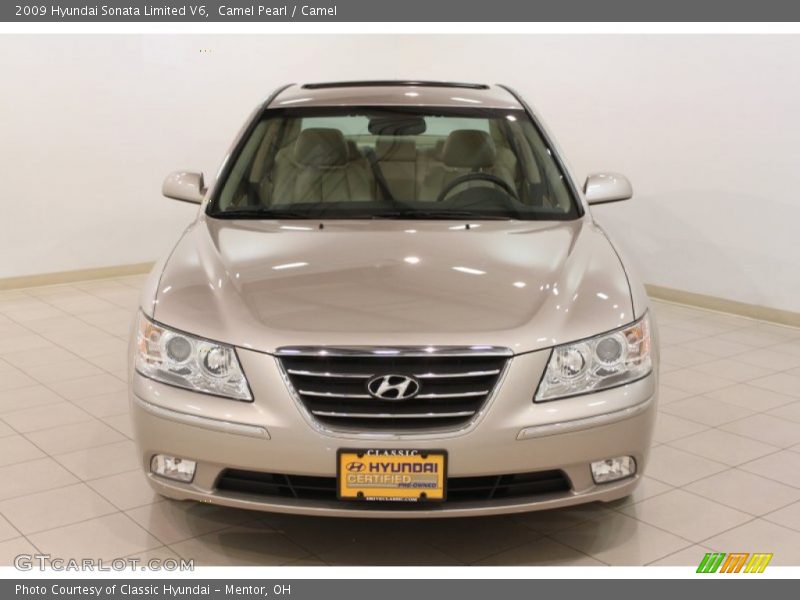 Camel Pearl / Camel 2009 Hyundai Sonata Limited V6