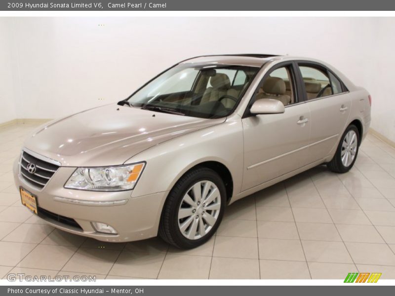 Camel Pearl / Camel 2009 Hyundai Sonata Limited V6