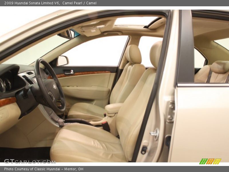 Camel Pearl / Camel 2009 Hyundai Sonata Limited V6