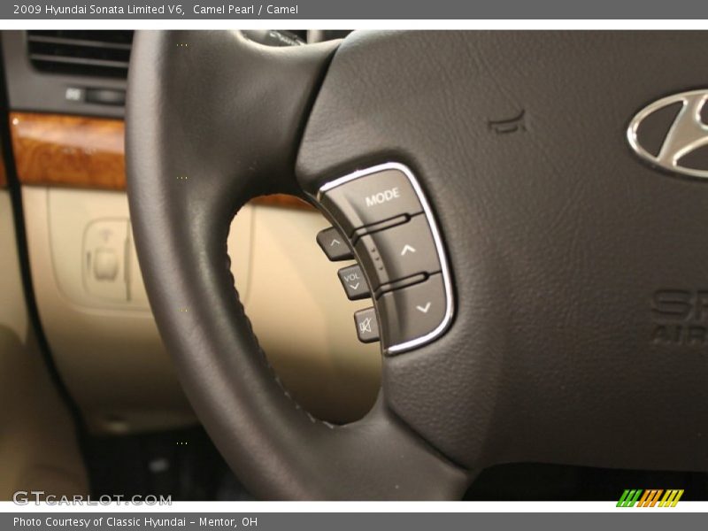 Camel Pearl / Camel 2009 Hyundai Sonata Limited V6