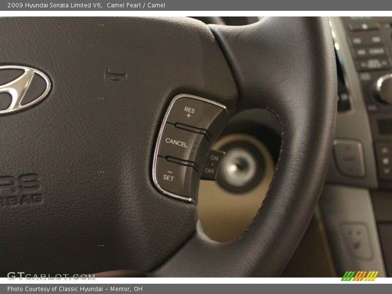 Camel Pearl / Camel 2009 Hyundai Sonata Limited V6