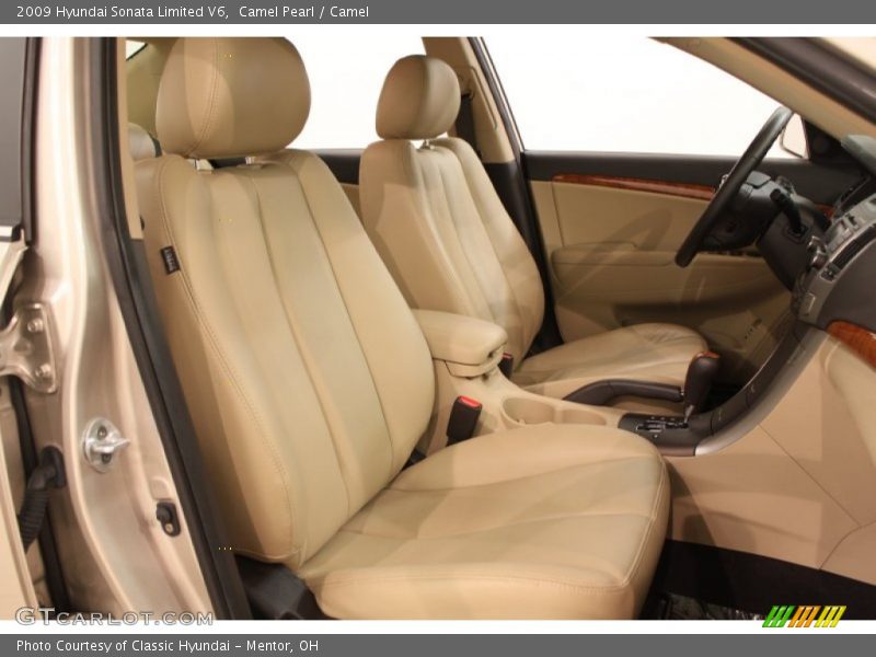 Camel Pearl / Camel 2009 Hyundai Sonata Limited V6