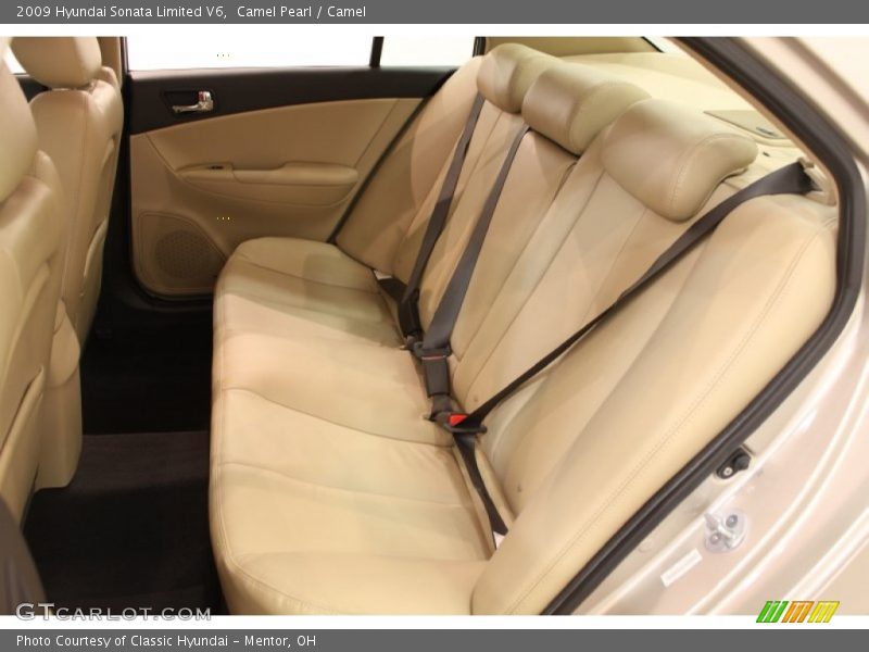 Camel Pearl / Camel 2009 Hyundai Sonata Limited V6