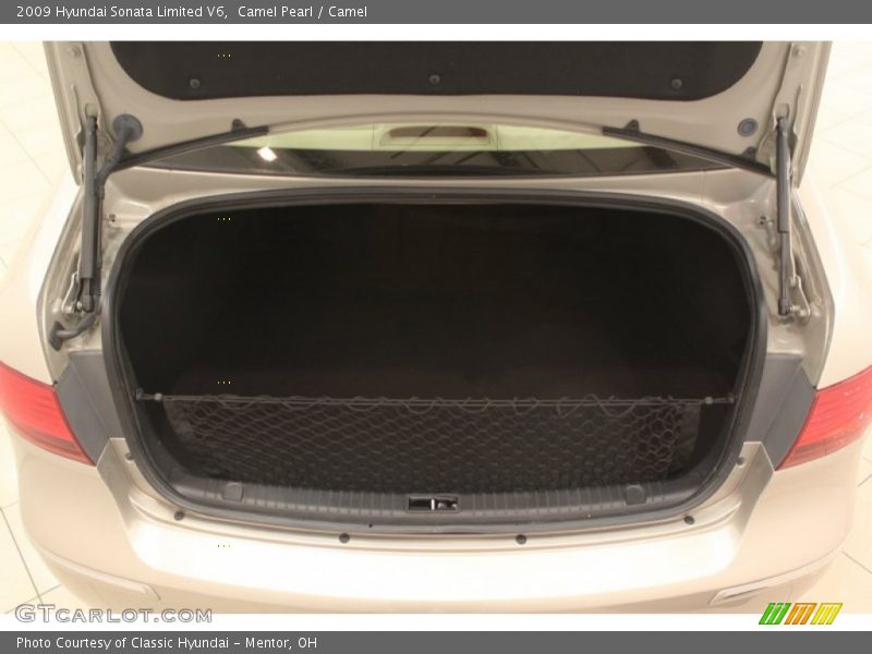 Camel Pearl / Camel 2009 Hyundai Sonata Limited V6