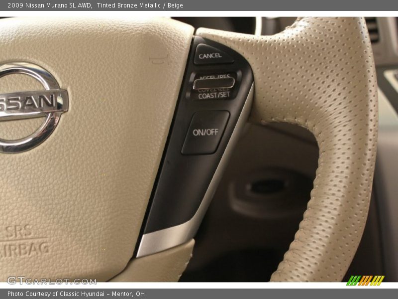 Tinted Bronze Metallic / Beige 2009 Nissan Murano SL AWD