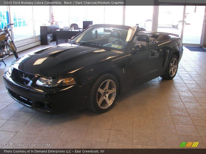 Black / Dark Charcoal/Medium Graphite 2003 Ford Mustang Cobra Convertible