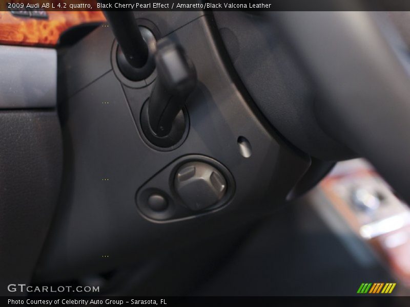 Controls of 2009 A8 L 4.2 quattro