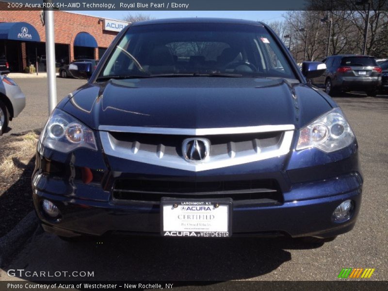 Royal Blue Pearl / Ebony 2009 Acura RDX SH-AWD Technology