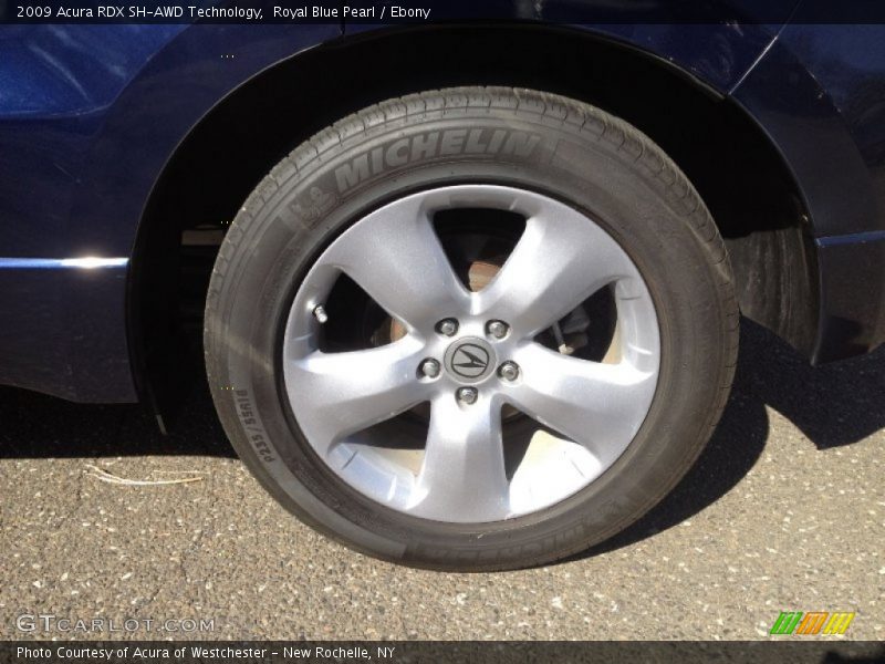 Royal Blue Pearl / Ebony 2009 Acura RDX SH-AWD Technology