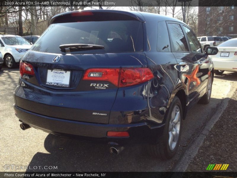 Royal Blue Pearl / Ebony 2009 Acura RDX SH-AWD Technology