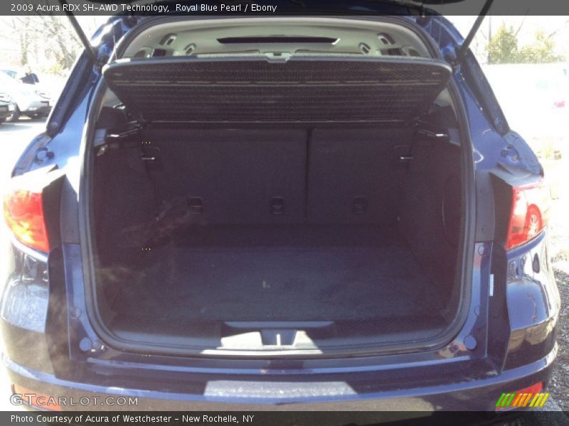Royal Blue Pearl / Ebony 2009 Acura RDX SH-AWD Technology