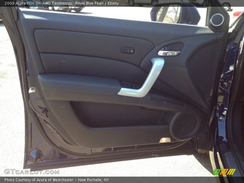 Royal Blue Pearl / Ebony 2009 Acura RDX SH-AWD Technology