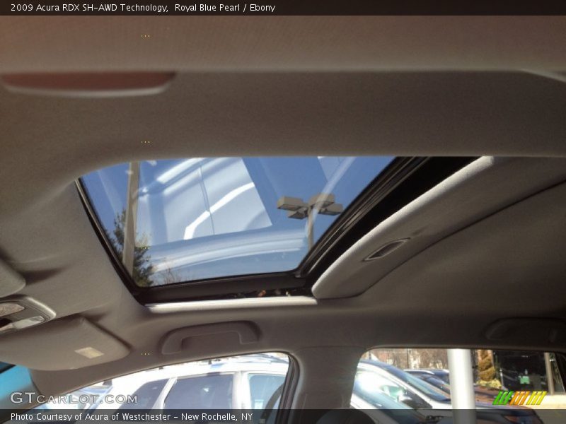 Royal Blue Pearl / Ebony 2009 Acura RDX SH-AWD Technology