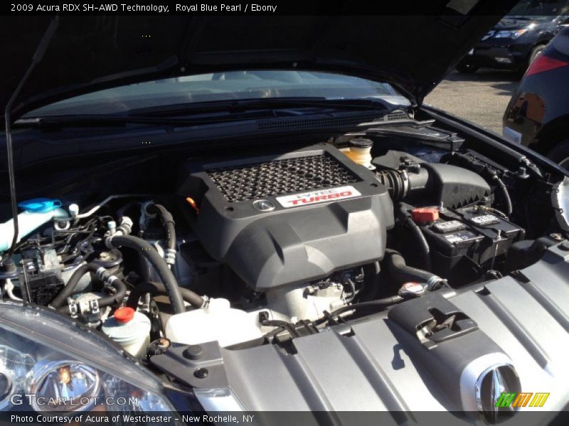 Royal Blue Pearl / Ebony 2009 Acura RDX SH-AWD Technology