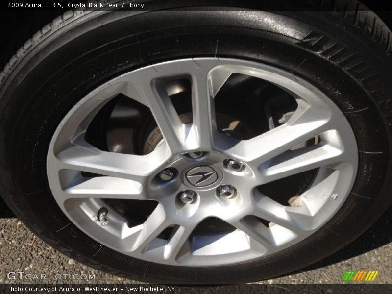 Crystal Black Pearl / Ebony 2009 Acura TL 3.5