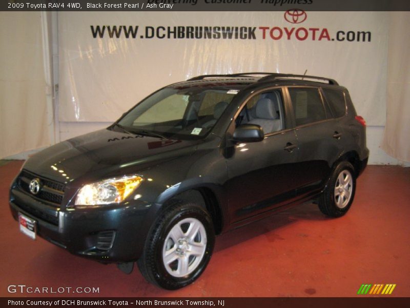 Black Forest Pearl / Ash Gray 2009 Toyota RAV4 4WD