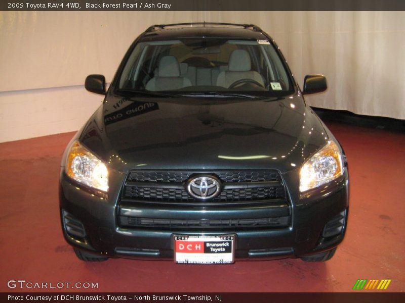 Black Forest Pearl / Ash Gray 2009 Toyota RAV4 4WD
