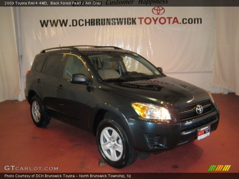 Black Forest Pearl / Ash Gray 2009 Toyota RAV4 4WD