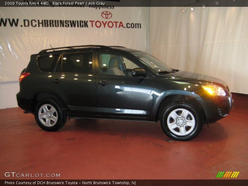 Black Forest Pearl / Ash Gray 2009 Toyota RAV4 4WD