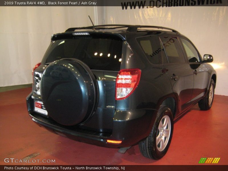 Black Forest Pearl / Ash Gray 2009 Toyota RAV4 4WD