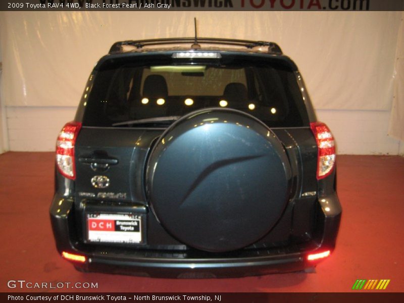 Black Forest Pearl / Ash Gray 2009 Toyota RAV4 4WD