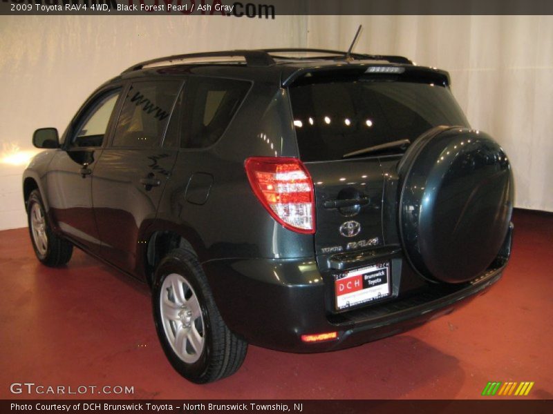 Black Forest Pearl / Ash Gray 2009 Toyota RAV4 4WD