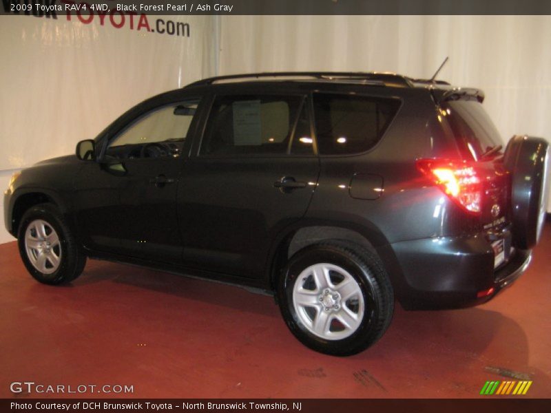 Black Forest Pearl / Ash Gray 2009 Toyota RAV4 4WD