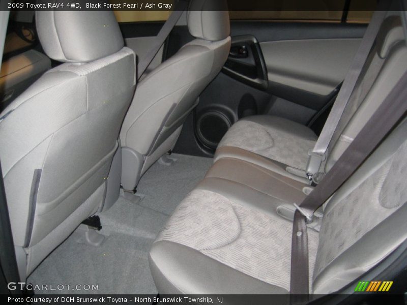 Black Forest Pearl / Ash Gray 2009 Toyota RAV4 4WD